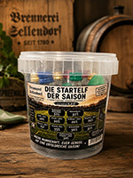 Die Startelf der Saison